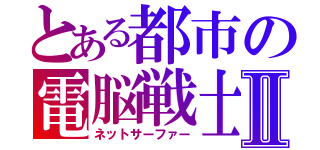 とある都市の電脳戦士Ⅱ（ネットサーファー）