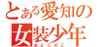 とある愛知の女装少年（おとこのこ）