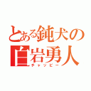 とある鈍犬の白岩勇人（チャッピー）