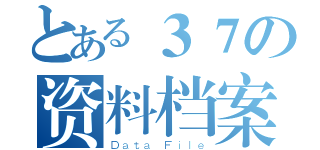 とある３７の资料档案（Ｄａｔａ Ｆｉｌｅ）