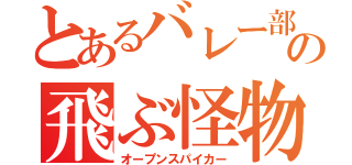 とあるバレー部の飛ぶ怪物（オープンスパイカー）