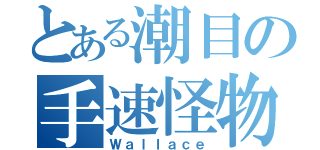 とある潮目の手速怪物（Ｗａｌｌａｃｅ）