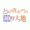 とある青山学院の神野大地（俊足）