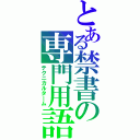 とある禁書の専門用語（テクニカルターム）