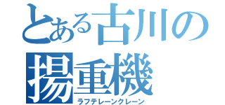 とある古川の揚重機（ラフテレーンクレーン）