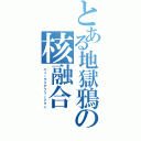 とある地獄鴉の核融合（ニュークリアフュージョン）