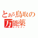 とある鳥取の万能薬（セイロガン）