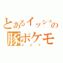 とあるイッシュの豚ポケモン（ポカブ）