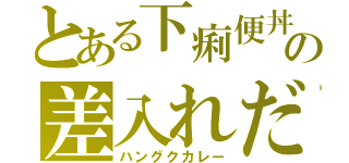 とある下痢便丼の差入れだ（ハングクカレー）