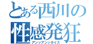 とある西川の性感発狂（アンッアンッボイス）