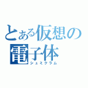 とある仮想の電子体（シュミクラム）