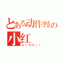 とある动作慢の小红（终于有网上了）