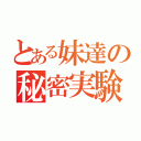 とある妹達の秘密実験（）