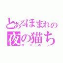 とあるほまれの夜の猫ちゃん（性行為）