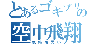 とあるゴキブリの空中飛翔（気持ち悪い）