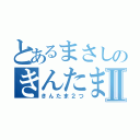 とあるまさしのきんたまⅡ（きんたま２つ）