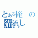 とある俺の猫流し（師匠！）