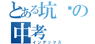 とある坑爹の中考（インデックス）