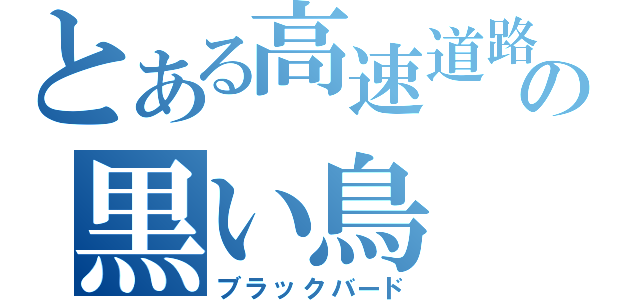 とある高速道路の黒い鳥（ブラックバード）