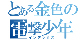 とある金色の電撃少年（インデックス）