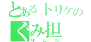 とあるトリケのぐみ担（神山担）