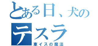 とある日、犬のテスラ（車イスの魔法）