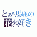 とある馬鹿の花火好き（不良女）