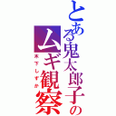 とある鬼太郎子のムギ観察記録（木下しずか）