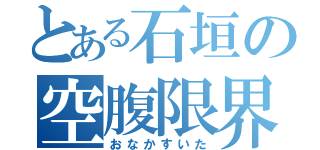 とある石垣の空腹限界（おなかすいた）