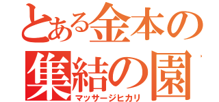 とある金本の集結の園（マッサージヒカリ）