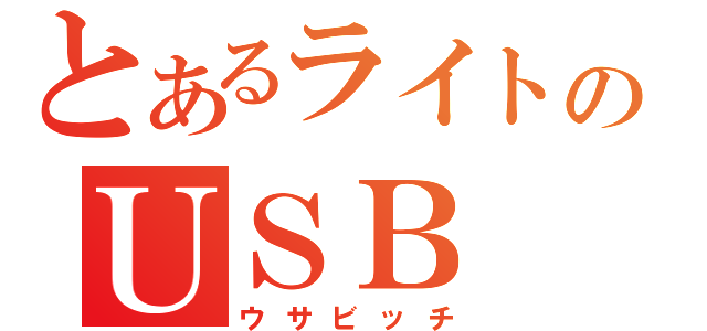 とあるライトのＵＳＢ（ウサビッチ）