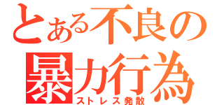 とある不良の暴力行為（ストレス発散）