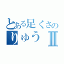 とある足くさのりゅうⅡ（）