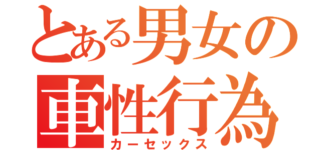 とある男女の車性行為（カーセックス）