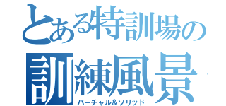 とある特訓場の訓練風景（バーチャル＆ソリッド）