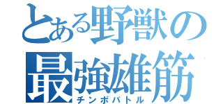 とある野獣の最強雄筋肉（チンポバトル）