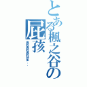 とある楓之谷の屁孩（真的真的真的好多．．）