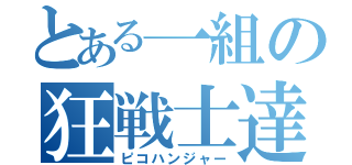 とある一組の狂戦士達（ピコハンジャー）