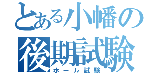 とある小幡の後期試験（ホール試験）