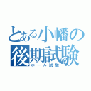 とある小幡の後期試験（ホール試験）