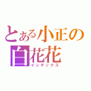 とある小正の白花花（インデックス）