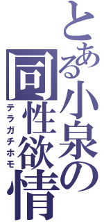 とある小泉の同性欲情（テラガチホモ）