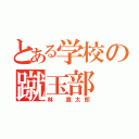 とある学校の蹴玉部（林 真太郎）