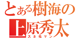 とある樹海の上原秀太（スネ毛マン）