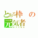 とある枠の元気者（ボブりおん）