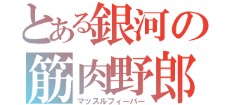 とある銀河の筋肉野郎（マッスルフィーバー）