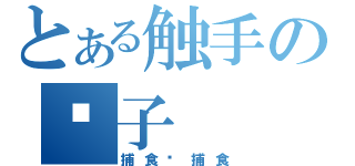 とある触手の饺子（捕食啊捕食）