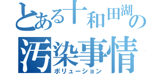 とある十和田湖の汚染事情（ポリューション）