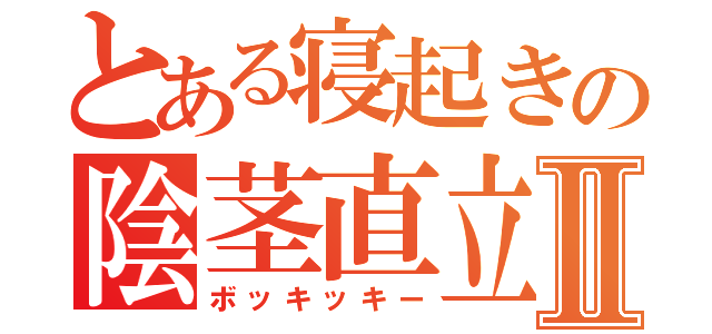 とある寝起きの陰茎直立Ⅱ（ボッキッキー）