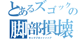 とあるズゴックの脚部損壊（キャクブガァァァァア ）